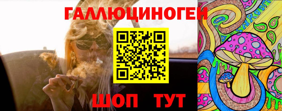 Галлюциногенные грибы GOLDEN TEACHER  Вход с VPN  Элиста 